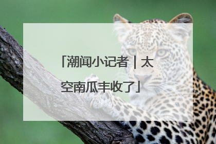 潮闻小记者｜太空南瓜丰收了