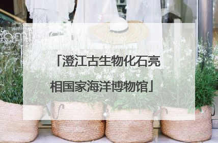 澄江古生物化石亮相国家海洋博物馆