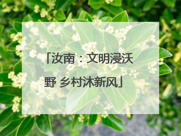 汝南：文明浸沃野 乡村沐新风
