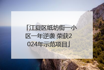江夏区纸坊街一小区一年逆袭 荣获2024年示范项目
