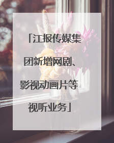 江报传媒集团新增网剧、影视动画片等视听业务