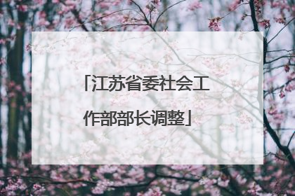 江苏省委社会工作部部长调整