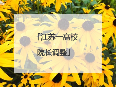 江苏一高校院长调整
