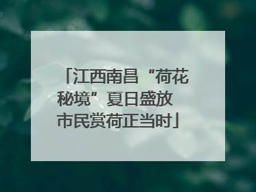 江西南昌“荷花秘境”夏日盛放 市民赏荷正当时