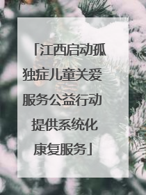 江西启动孤独症儿童关爱服务公益行动 提供系统化康复服务