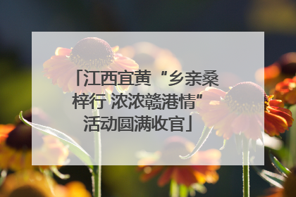 江西宜黄“乡亲桑梓行 浓浓赣港情”活动圆满收官