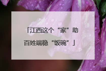 江西这个“家”助百姓端稳“饭碗”