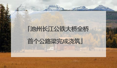 池州长江公铁大桥全桥首个公路梁完成浇筑