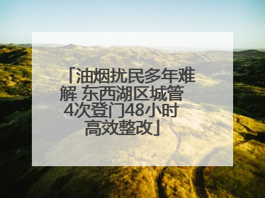 油烟扰民多年难解 东西湖区城管4次登门48小时高效整改