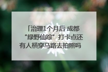 治理1个月后 成都“绿野仙踪”打卡点还有人横穿马路去拍照吗？｜民情瞭望