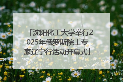 沈阳化工大学举行2025年俄罗斯院士专家辽宁行活动开幕式