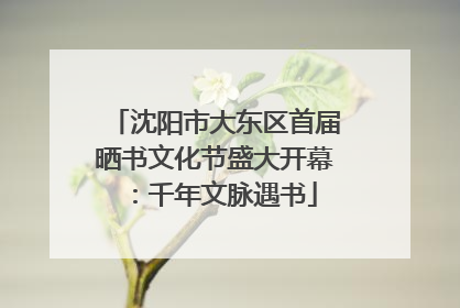 沈阳市大东区首届晒书文化节盛大开幕：千年文脉遇书