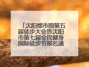 沈阳都市圈第五届徒步大会暨沈阳市第七届全民健身国际徒步节报名通道开启