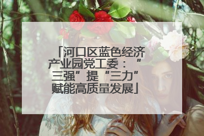 河口区蓝色经济产业园党工委：“三强”提“三力”赋能高质量发展