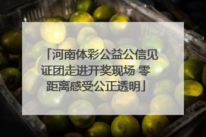 河南体彩公益公信见证团走进开奖现场 零距离感受公正透明