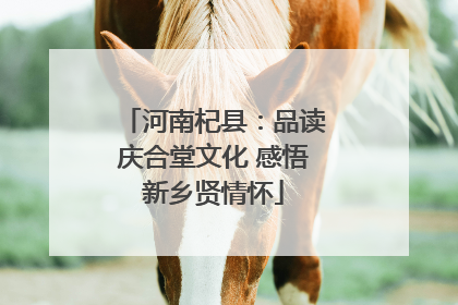 河南杞县：品读庆合堂文化 感悟新乡贤情怀