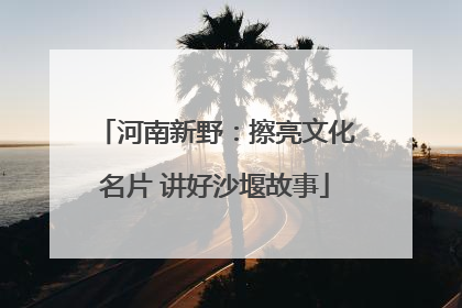 河南新野：擦亮文化名片 讲好沙堰故事