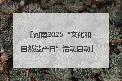 河南2025“文化和自然遗产日”活动启动
