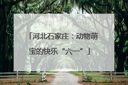 河北石家庄：动物萌宝的快乐“六一”