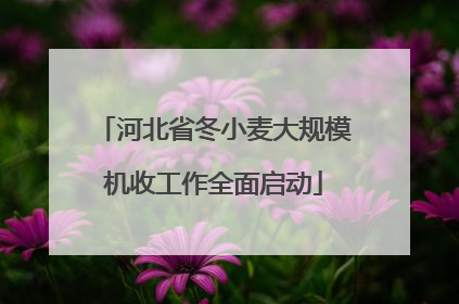 河北省冬小麦大规模机收工作全面启动