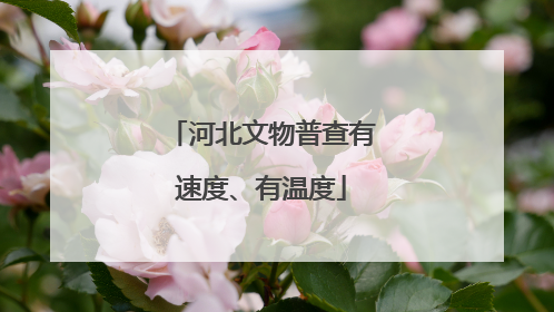 河北文物普查有速度、有温度