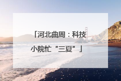 河北曲周：科技小院忙“三夏”