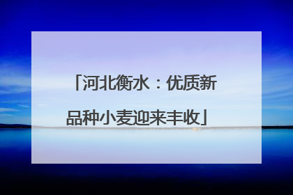 河北衡水：优质新品种小麦迎来丰收