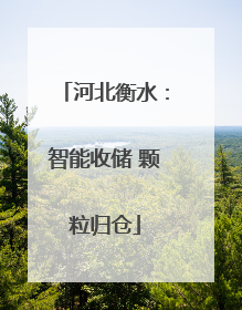 河北衡水：智能收储 颗粒归仓