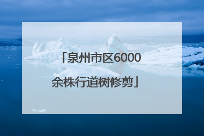 泉州市区6000余株行道树修剪