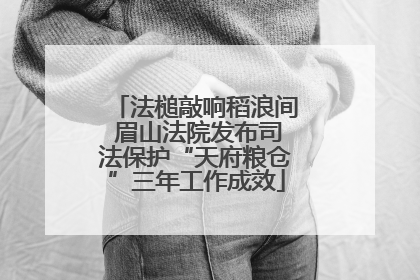 法槌敲响稻浪间 眉山法院发布司法保护“天府粮仓”三年工作成效