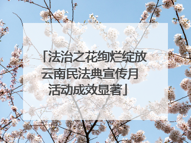 法治之花绚烂绽放 云南民法典宣传月活动成效显著