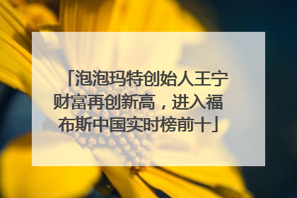 泡泡玛特创始人王宁财富再创新高，进入福布斯中国实时榜前十