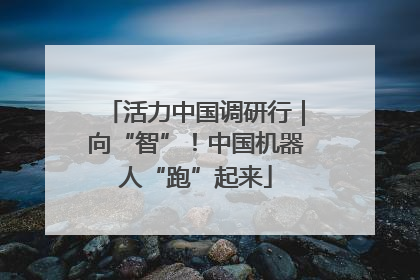 活力中国调研行｜向“智”！中国机器人“跑”起来