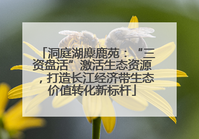 洞庭湖麋鹿苑：“三资盘活”激活生态资源，打造长江经济带生态价值转化新标杆