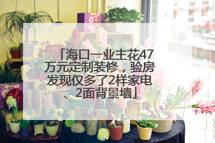 海口一业主花47万元定制装修，验房发现仅多了2样家电、2面背景墙