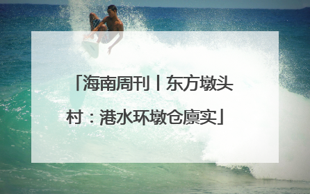 海南周刊丨东方墩头村：港水环墩仓廪实