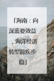 海南：向深蓝要效益，海洋经济转型蹄疾步稳