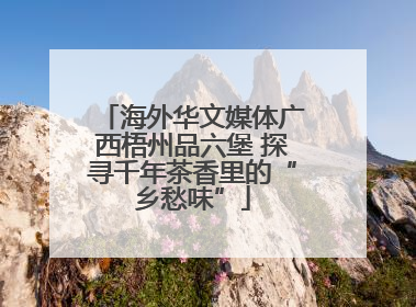 海外华文媒体广西梧州品六堡 探寻千年茶香里的“乡愁味”