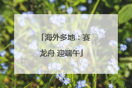 海外多地：赛龙舟 迎端午