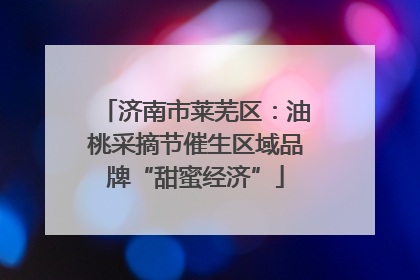 济南市莱芜区：油桃采摘节催生区域品牌“甜蜜经济”