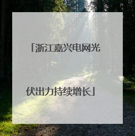浙江嘉兴电网光伏出力持续增长