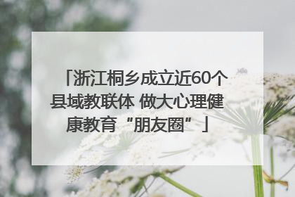 浙江桐乡成立近60个县域教联体 做大心理健康教育“朋友圈”