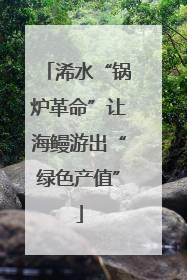 浠水“锅炉革命”让海鳗游出“绿色产值”