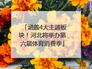 涵盖4大主题板块！河北将举办第六届体育消费季