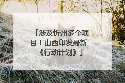 涉及忻州多个项目！山西印发最新《行动计划》