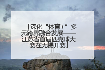 深化“体育+”多元跨界融合发展——江苏省首届匹克球大赛在无锡开赛