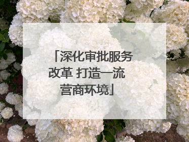 深化审批服务改革 打造一流营商环境