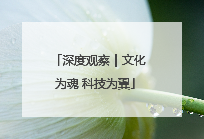 深度观察｜文化为魂 科技为翼