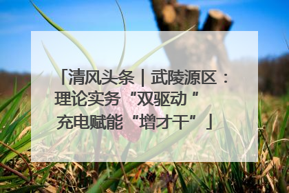 清风头条｜武陵源区：理论实务“双驱动 ” 充电赋能“增才干”