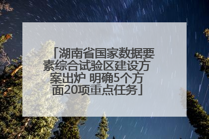 湖南省国家数据要素综合试验区建设方案出炉 明确5个方面20项重点任务